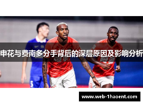 申花与费南多分手背后的深层原因及影响分析