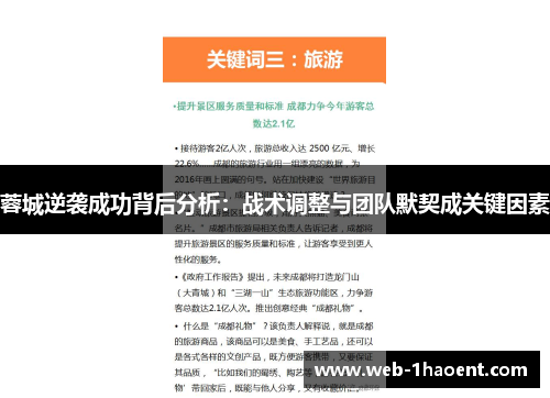 蓉城逆袭成功背后分析：战术调整与团队默契成关键因素