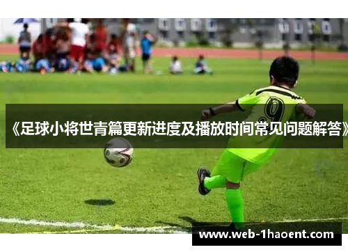 《足球小将世青篇更新进度及播放时间常见问题解答》