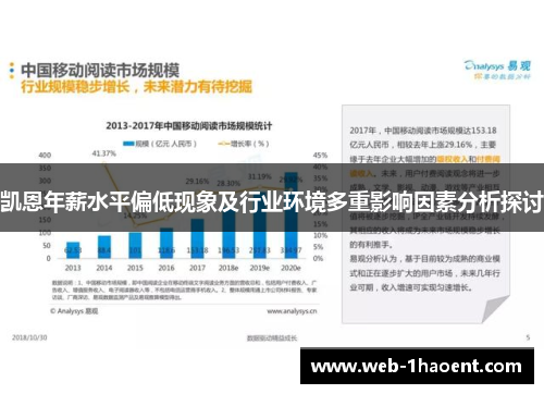 凯恩年薪水平偏低现象及行业环境多重影响因素分析探讨