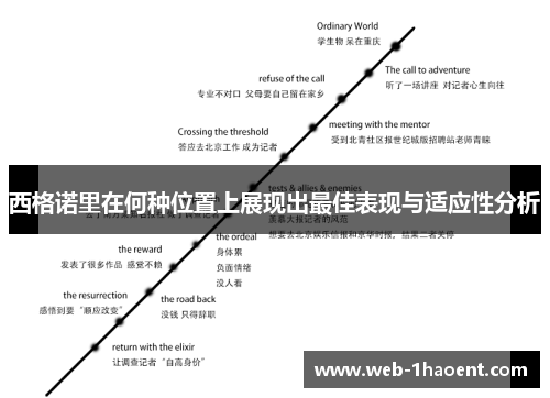 西格诺里在何种位置上展现出最佳表现与适应性分析