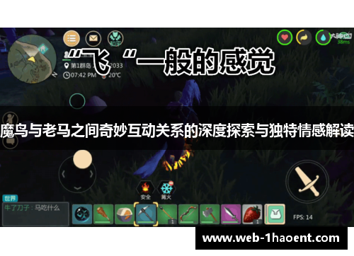 魔鸟与老马之间奇妙互动关系的深度探索与独特情感解读