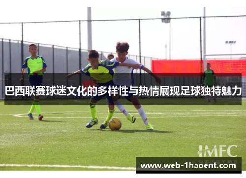 巴西联赛球迷文化的多样性与热情展现足球独特魅力