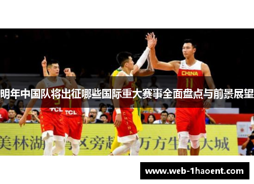明年中国队将出征哪些国际重大赛事全面盘点与前景展望