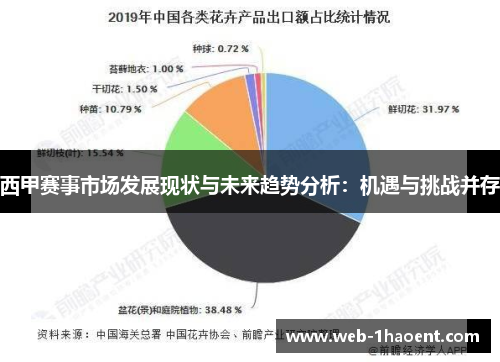 西甲赛事市场发展现状与未来趋势分析:机遇与挑战并存 西甲赛事市场发展现状与未来趋势分析:机遇与挑战并存